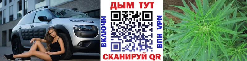 MEGA как войти Нолинск Конопля SATIVA & INDICA